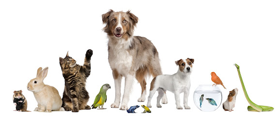 Athens Pet Cremation's logo