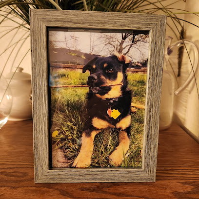 Eternity Pet Memorial's logo