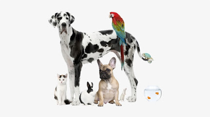 Peaceful Paws Memorial Services LLC's logo