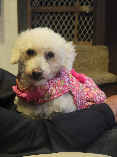 Furever After Pet Cremation Services's logo