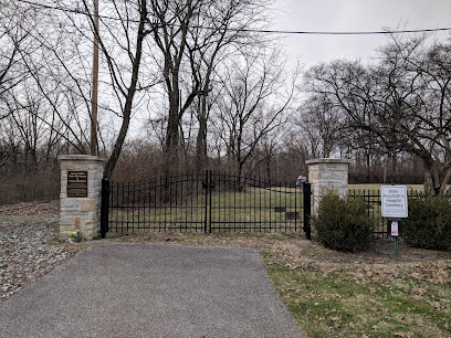Insane Cemetery's logo