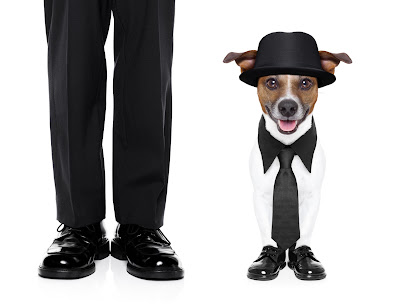 Pet Cremation Iowa Funeral Home  Cremation Care's logo