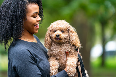 Thrive Pet Healthcare   Alamo Ranch's logo