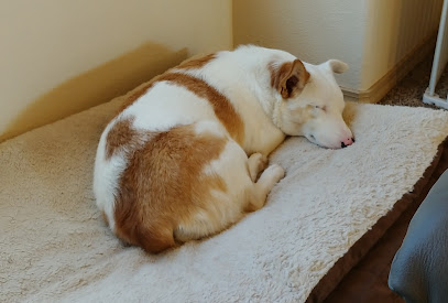 Desert Haven Animal Refuge's logo