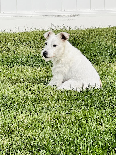 Dear Pet Memorial Park's logo