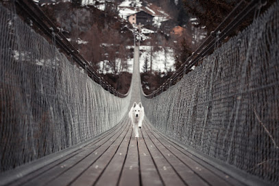 The Bridge Pet Memorial's logo