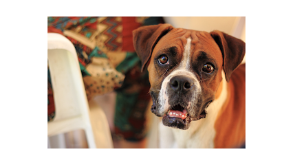 Santa Clarita Pet Cremation's logo